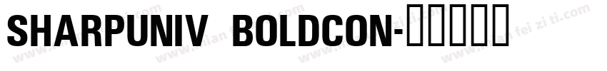 SharpUniv BoldCon字体转换